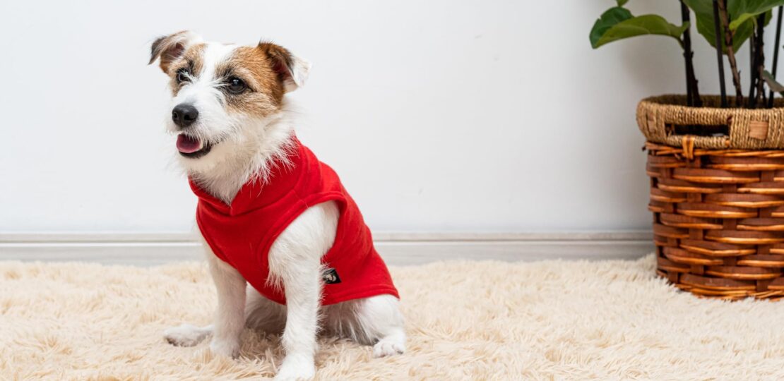 “Porque seu pet merece cheirar tão bem quanto ele é amado.”