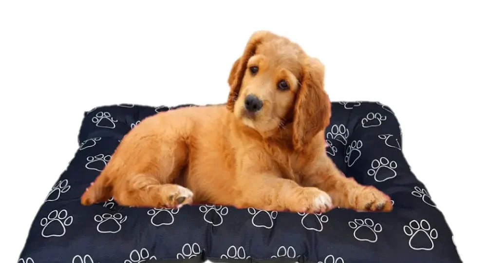Colchonete Ortopédico Premium para Pets – Conforto e Saúde em Um Só Lugar!