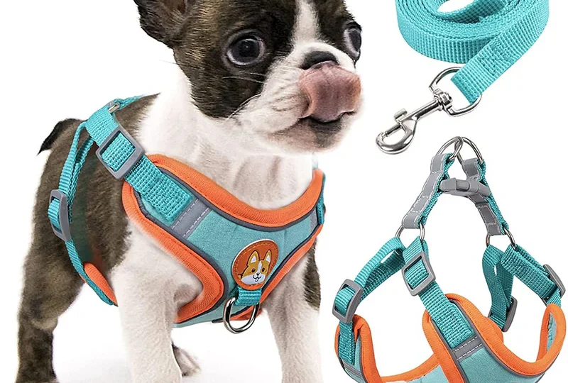 Coleira Pet — Segurança e Estilo para o Seu Animal de Estimação